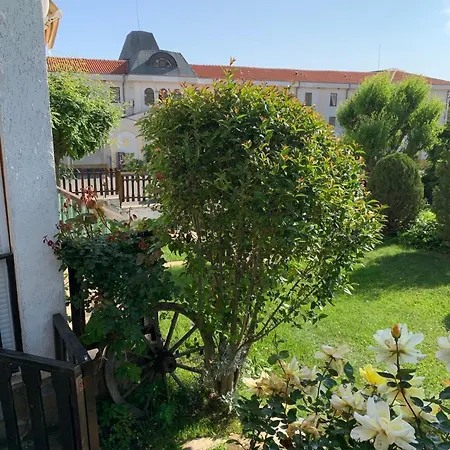 Kambani 1 Szveti Vlasz