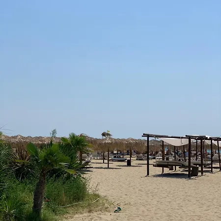 Kambani 1 * Szveti Vlasz