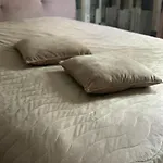 Kambani 1 *