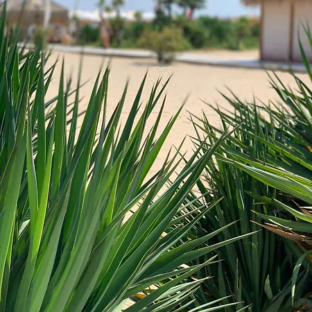 Kambani 1 * سفيتي فلاس