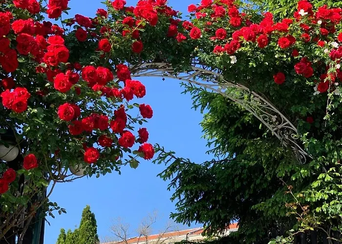 Kambani 1 Apartament *