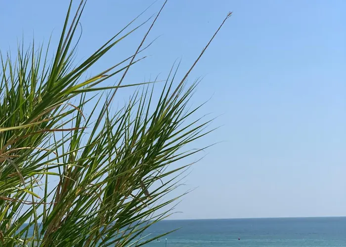 Apartament Kambani 1 Sveti Vlas